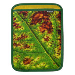 Autumn Leaf Sleeves For iPads