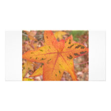 Autumn Leaf Photo Greeting Card