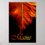 Autumn Leaf Poster | Fall Leaf Poster