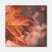 Autumn Leaf V2 Fridge Magnet