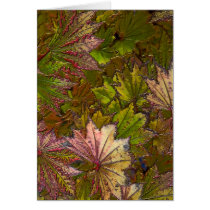 Autumn Leaves: Albert Camus - Greeting Card cards