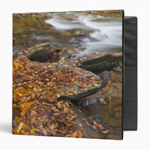 Autumn leaves along Looking Glass Creek in the Binder