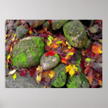 Autumn leaves and field stones,poster
