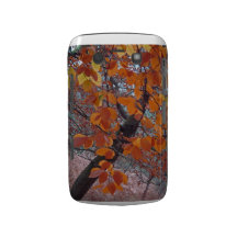 Autumn leaves Blackberry Bold case