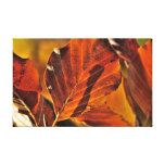 Autumn Leaves Canvas Print