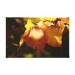Autumn Leaves Canvas Print