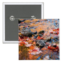 autumn leaves colour button