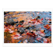 autumn leaves colour post cards