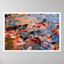 autumn leaves colour posters