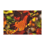 Autumn Leaves Gallery Wrapped Canvas