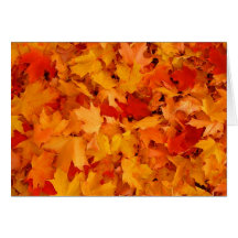 Autumn leaves greeting card