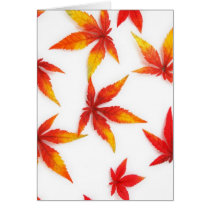 Autumn Leaves Greeting/Note card