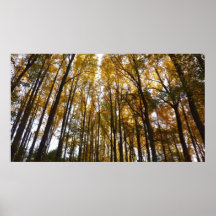 Autumn Leaves in the Morning Print