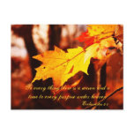 Autumn Leaves in the Poconos Postcard