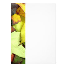 Autumn Leaves Invitation