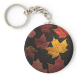 Autumn Leaves Key Chain