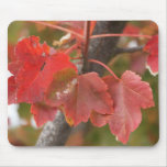 Autumn Leaves Mousepads