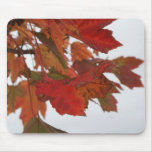 Autumn Leaves Mousepads