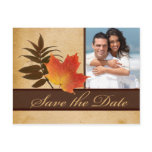 Autumn Leaves on Aged Paper Photo Save the Date Postcard