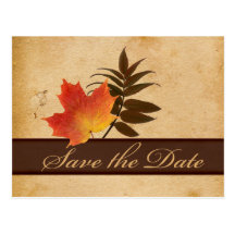 Autumn Leaves on Aged Paper Save the Date Card Post Cards