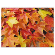 Autumn Leaves Orange Yellow Red Flyer Paper
