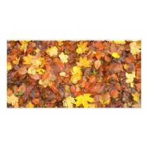 Autumn Leaves Picture Card