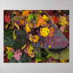 Autumn leaves ,pink field stones , poster
