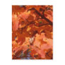 Autumn Leaves
