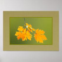 Autumn Leaves poster posters