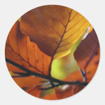 Autumn leaves round stickers