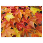 Autumn Leaves Scrapbooking paper Fall Leaves