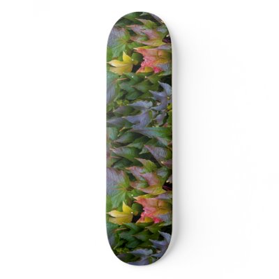 Autumn leaves skateboard by hildurbjorg