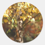 Autumn Leaves Stickers