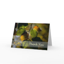 Autumn Leaves • Thank You Card