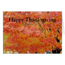 Autumn Leaves Thanksgiving Greeting Card