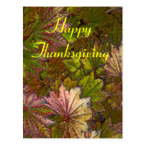 Autumn Leaves: Thanksgiving - Postcard postcards