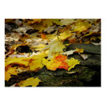 Autumn Light ATC Photo Card Business Card