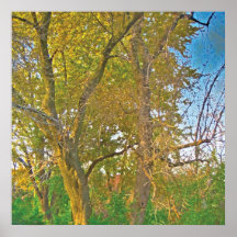 Autumn Light Print