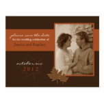 Autumn Love 01 Postcard