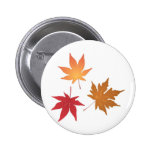 Autumn Maple Leaves Collection Buttons
