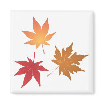 Autumn Maple Leaves Collection Refrigerator Magnets