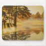 Autumn Mist Mouse Pads