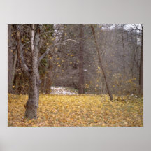 Autumn Moments Print