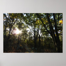 Autumn Morning at Shenandoah Poster Print