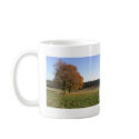 autumn mugs