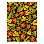 autumn oak leaves post cards