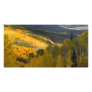 Autumn on the Grand Mesa Customized Photo Card