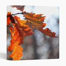 Autumn orange leaf vinyl binder