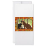 Autumn Orange Tabby Cats