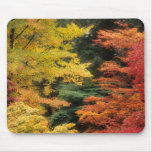 Autumn Palette